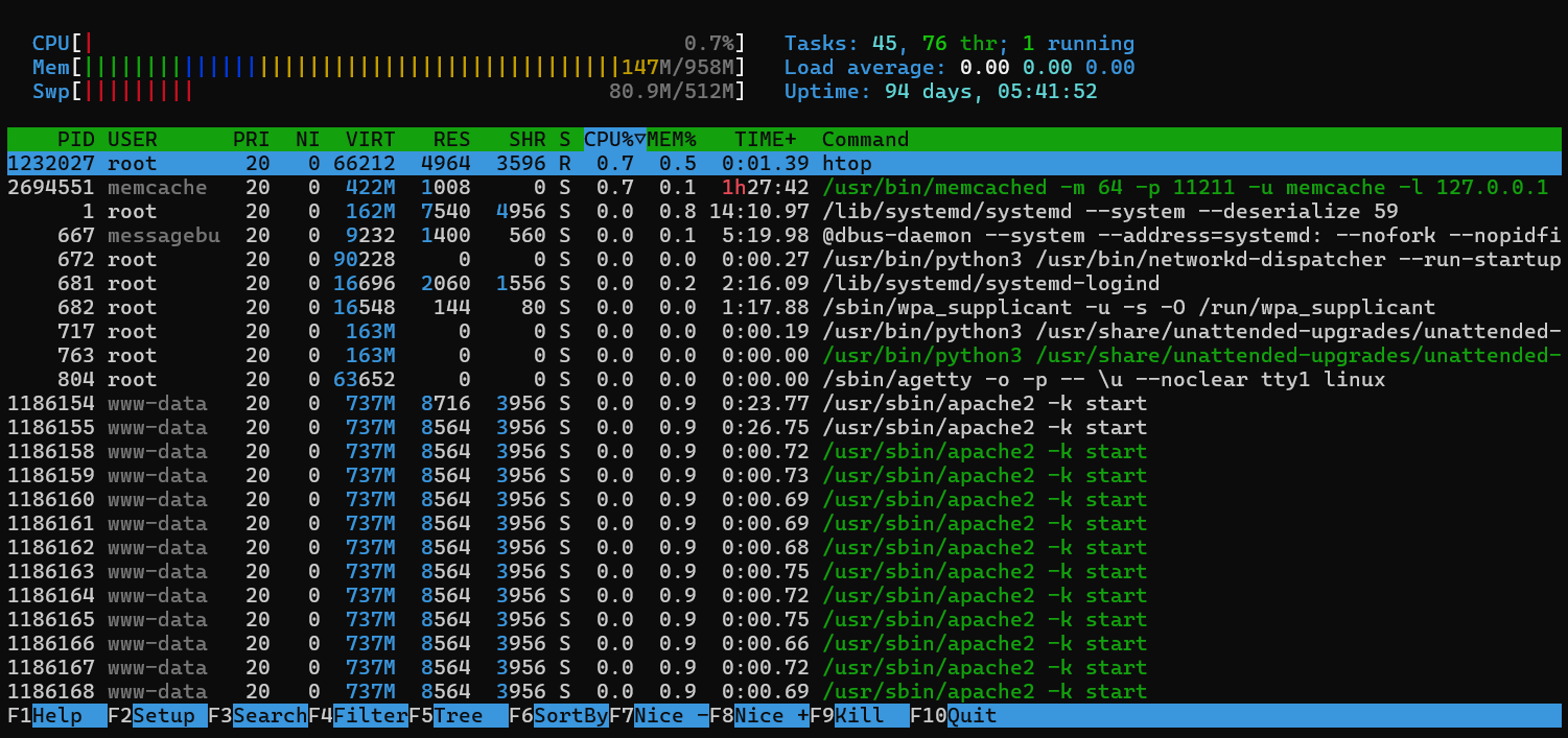 Screenshot of htop